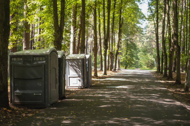 Best Luxury portable toilet rental  in South Monroe, MI